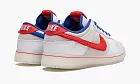Nike Dunk Low Retro PRM Year Of The Rabbit