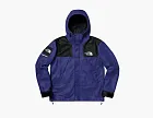 Supreme x The North Face Leather Mountain Parka Royal