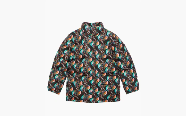 Gucci x The North Face Down Jacket Multicolor/Black  Gucci x The North Face Down Jacket Multicolor/Black