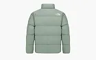 The North Face Logo Stand Collar Long Sleeve With Down Jacket Green
