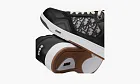 Dior B27 Low Black Beige