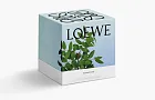 Loewe Small Scented Candle Incense