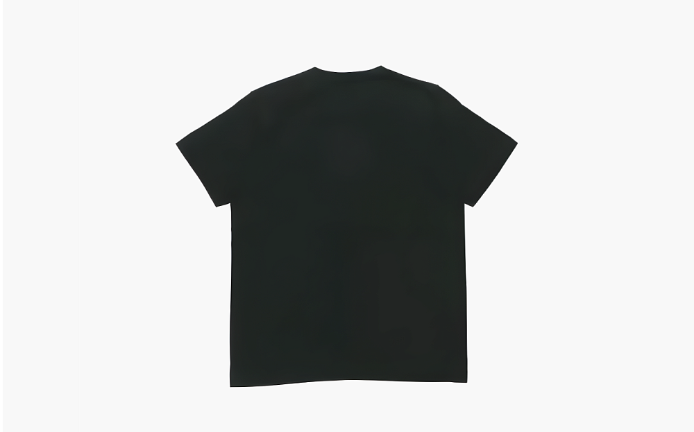 Uniqlo x Kaws x Sesame Street Black