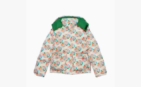 Gucci x The North Face Down Jacket Multicolor/Ivory  Gucci x The North Face Down Jacket Multicolor/Ivory