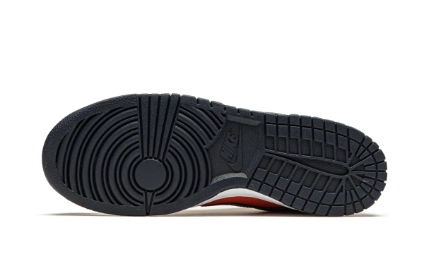 Nike Dunk Low Champ Colors 