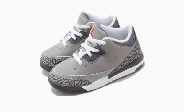 Air Jordan 3 Retro TD "Cool Grey" 