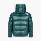 The North Face White Label Down Jacket Green