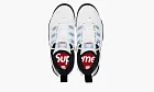 Nike Supreme X SB Air Darwin Low White