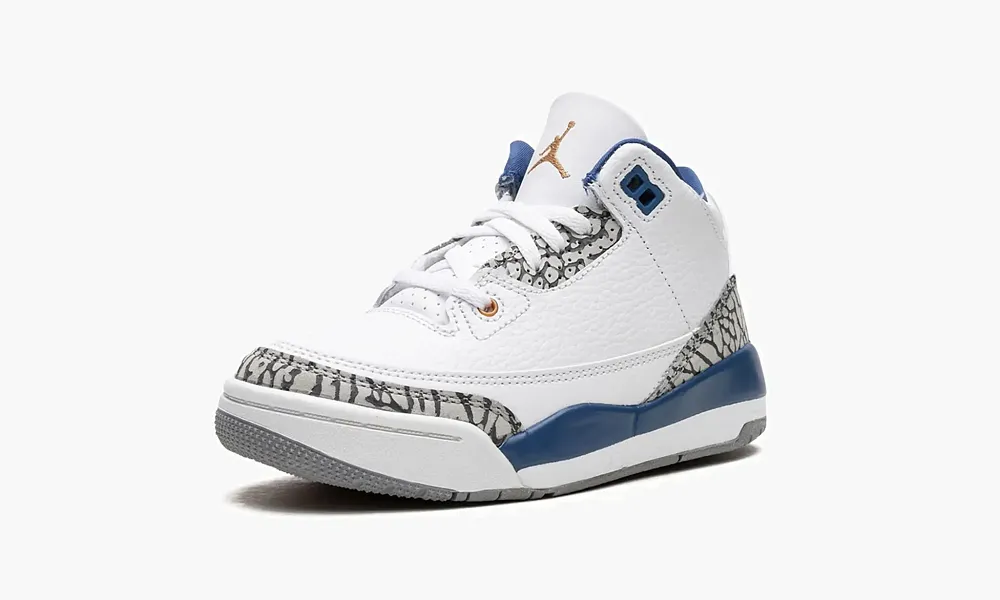 Air Jordan 3 PS Wizards
