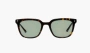Gentle Monster Daze T9 Sunglasses Tortoise / Green 