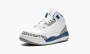 Air Jordan 3 PS Wizards 
