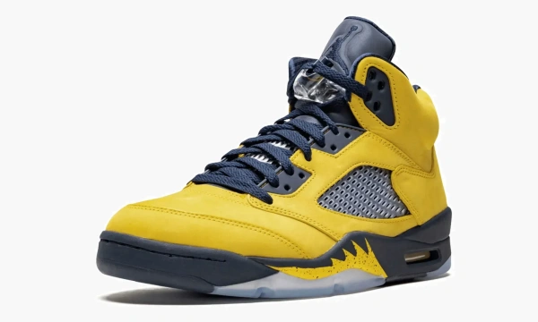 Air Jordan 5 Retro SE Michigan 