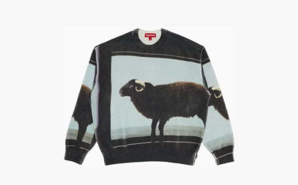 Supreme x Damien Hirst Sweater Black 