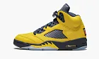 Air Jordan 5 Retro SE Michigan