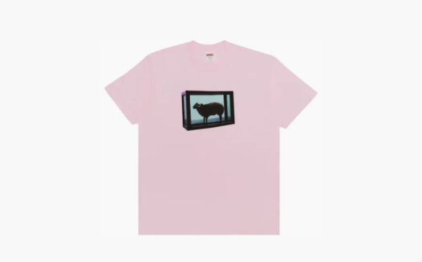 Supreme x Damien Hirst Tee Light Pink 