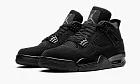 Air Jordan 4 Black Cat 2020
