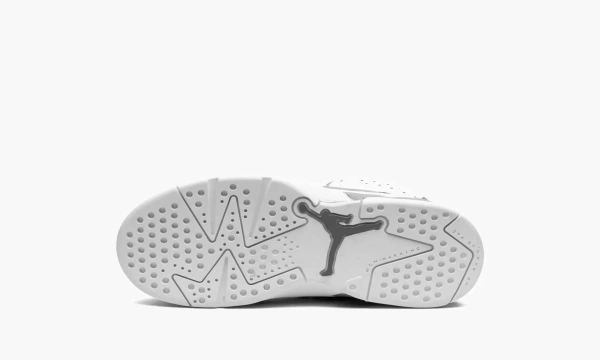 Air Jordan 6 PS Cool Grey 