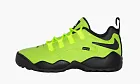 Nike Supreme X SB Air Darwin Low Green