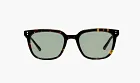 Gentle Monster Daze T9 Sunglasses Tortoise / Green
