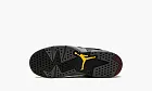 Air Jordan 6 Retro PS Bordeaux