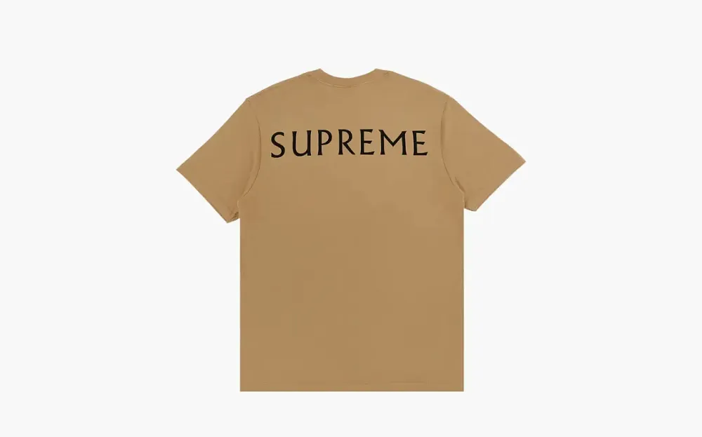 Supreme x Damien Hirst Tee Khaki