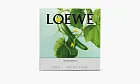 Loewe Small Scented Candle Cucumber