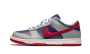 Nike Dunk Low Samba 