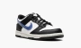 Nike Dunk Low Next Nature GS "Tpu Swoosh" 