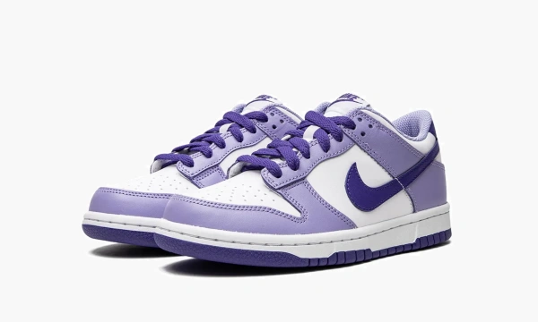 Nike Dunk Low GS Blueberry 