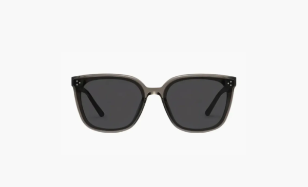 Gentle Monster Metal Square Sunglasses Unisex Brown 