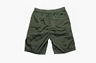 Stone Island Nylon Metal Watro-TC Shorts Sage Green