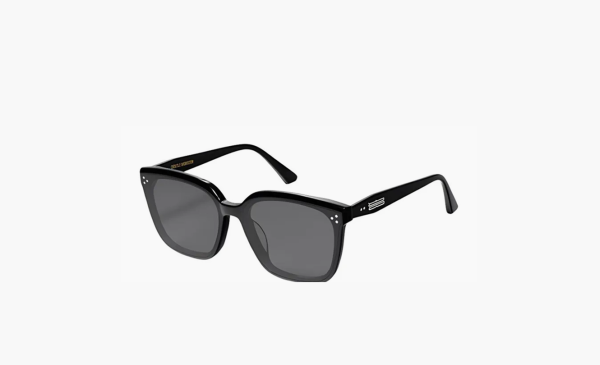 Gentle Monster Palette 01 Sunglasses Black 