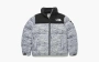 The North Face White Label Novelty Nuptse Down Jacket Silver 