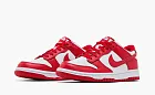 Nike Dunk Low GS St. John's