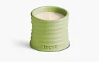 Loewe Small Scented Candle Cucumber