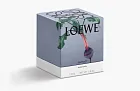 Loewe Small Scented Candle Beetroot