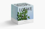 Loewe Small Scented Candle "Incense" 