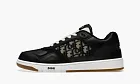 Dior B27 Low Black Beige