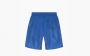 Gucci x The North Face Nylon Shorts "Blue" 