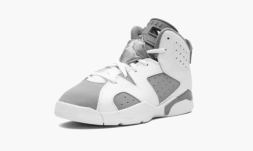 Air Jordan 6 PS Cool Grey