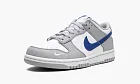 Nike Dunk Low GS