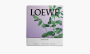 Loewe Small Scented Candle "Liquorice" 