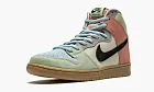 Nike SB Dunk High Spectrum