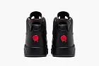 Air Jordan 6 Retro Premio Bin23