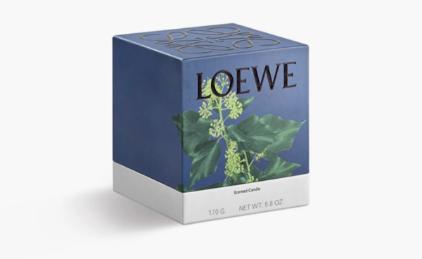 Loewe Small Scented Candle Ivy 