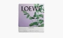 Loewe Small Scented Candle Liquorice 