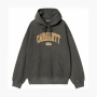 Carhartt WIP SS25 Hooded Library Sweatshirt 