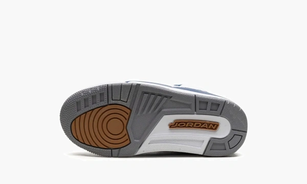 Air Jordan 3 PS Wizards 