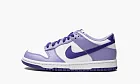 Nike Dunk Low GS Blueberry