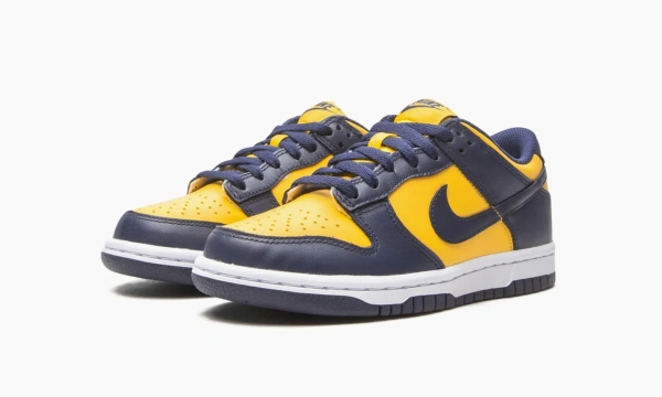 Nike Dunk Low GS Michigan 2021 